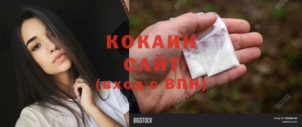 гидра Алексин