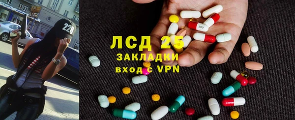 круглые Осинники