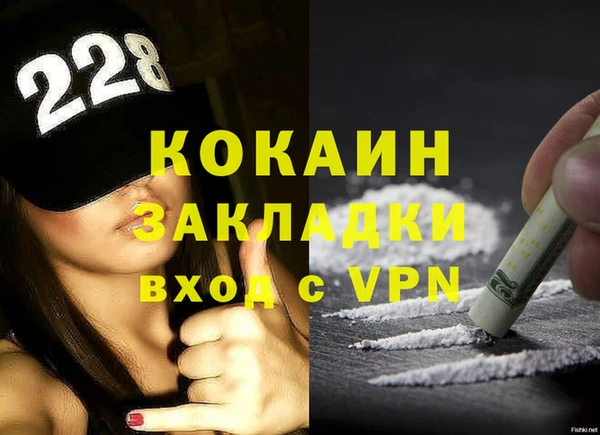 гидра Алексин