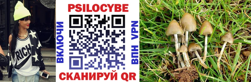 Псилоцибиновые грибы Psilocybine cubensis  купить наркотики сайты  нарко площадка клад  Салехард 